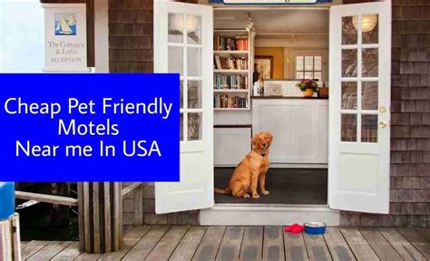 Most hotels are fully refundable. . Cheap pet friendly motels near me
